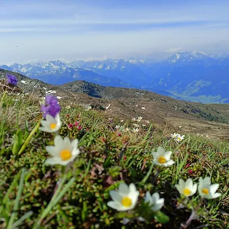 Leo Apartman Stummerberg