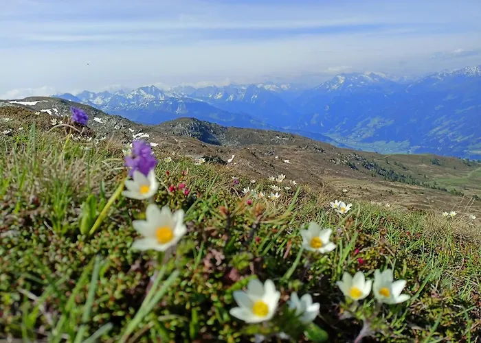 فيرينفونونغ ليو شقة ستمربرغ