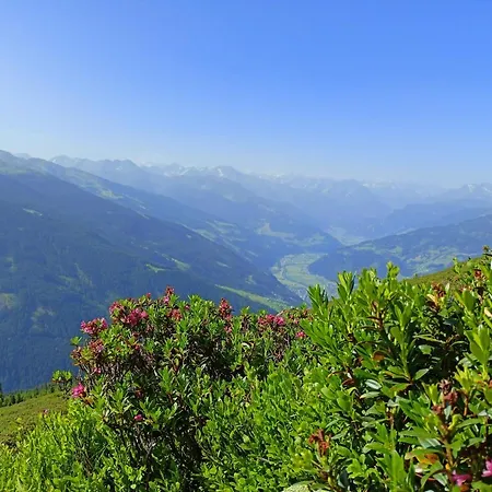 Lägenhet Leo Stummerberg