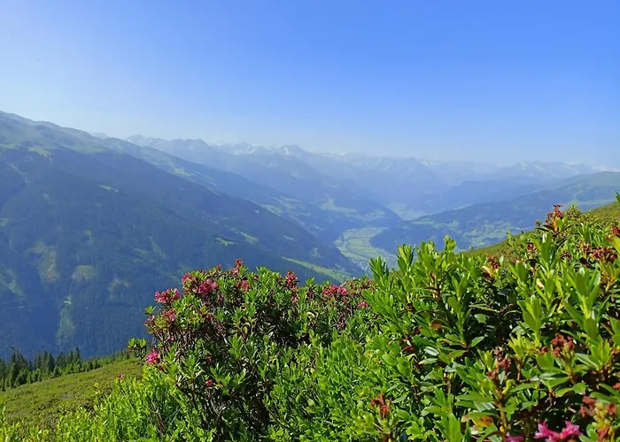 Appartement Leo Stummerberg